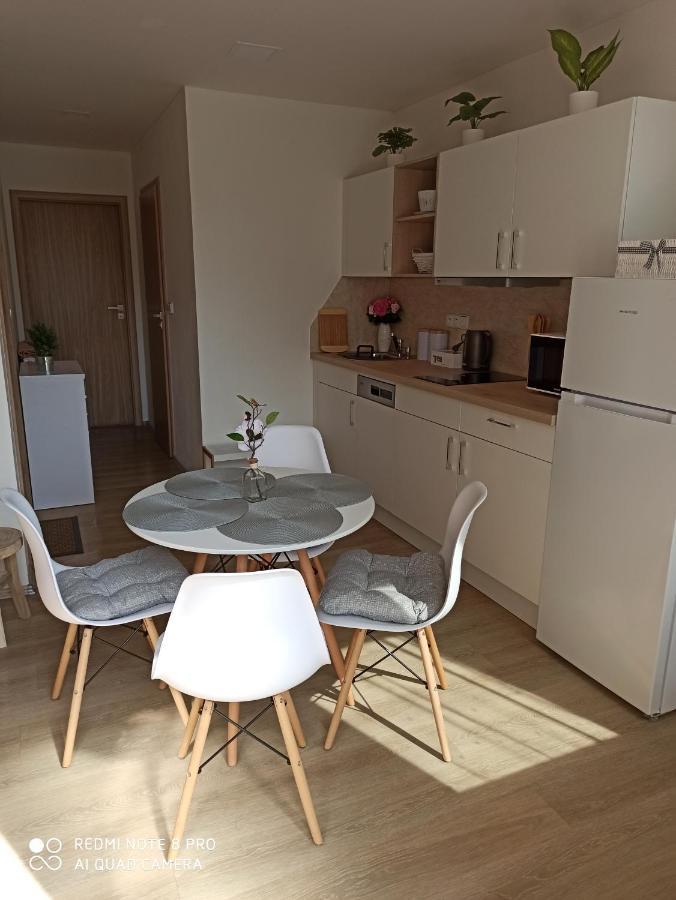 Familly Apartmens Apartment Dolni Dunajovice Bagian luar foto