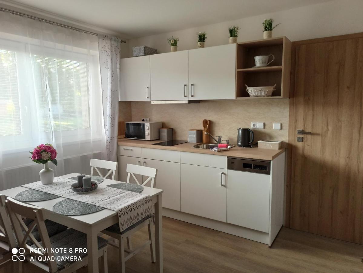 Familly Apartmens Apartment Dolni Dunajovice Bagian luar foto