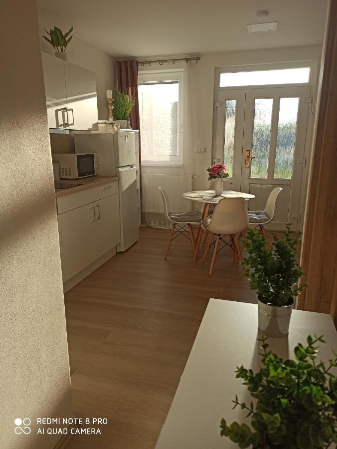 Familly Apartmens Apartment Dolni Dunajovice Bagian luar foto