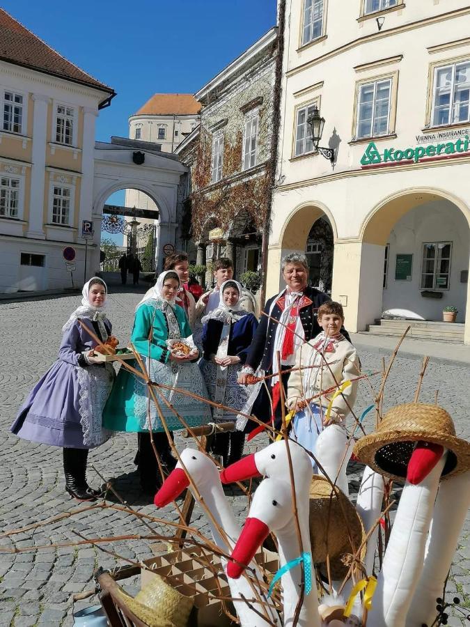 Familly Apartmens Apartment Dolni Dunajovice Bagian luar foto